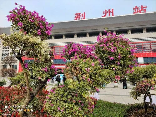 石家庄到荆州专线价格-石家庄到荆州物流时间-全境/派送 石家庄到荆州专线价格-石家庄到荆州物流时间-全境/派送