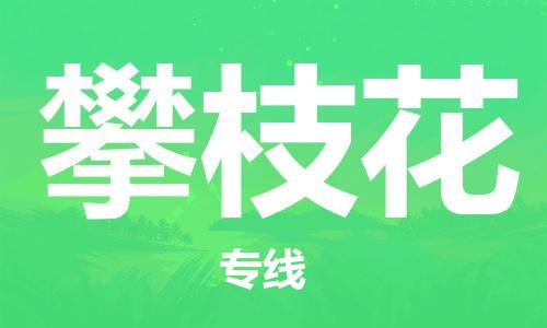 石家庄到攀枝花物流专线-石家庄至攀枝花货运-装饰材料运输专线 石家庄到攀枝花物流专线-石家庄至攀枝花货运-装饰材料运输专线