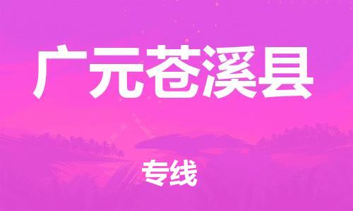 石家庄到广元苍溪县物流专线-快速安全的石家庄到广元苍溪县货运公司